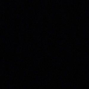 Meet your Posher, Brendan